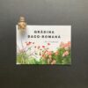 Cadou pentru iubitori de plante