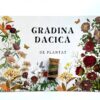 gradina dacica