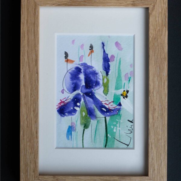 Miniaturi de Marin Gruia – Iris