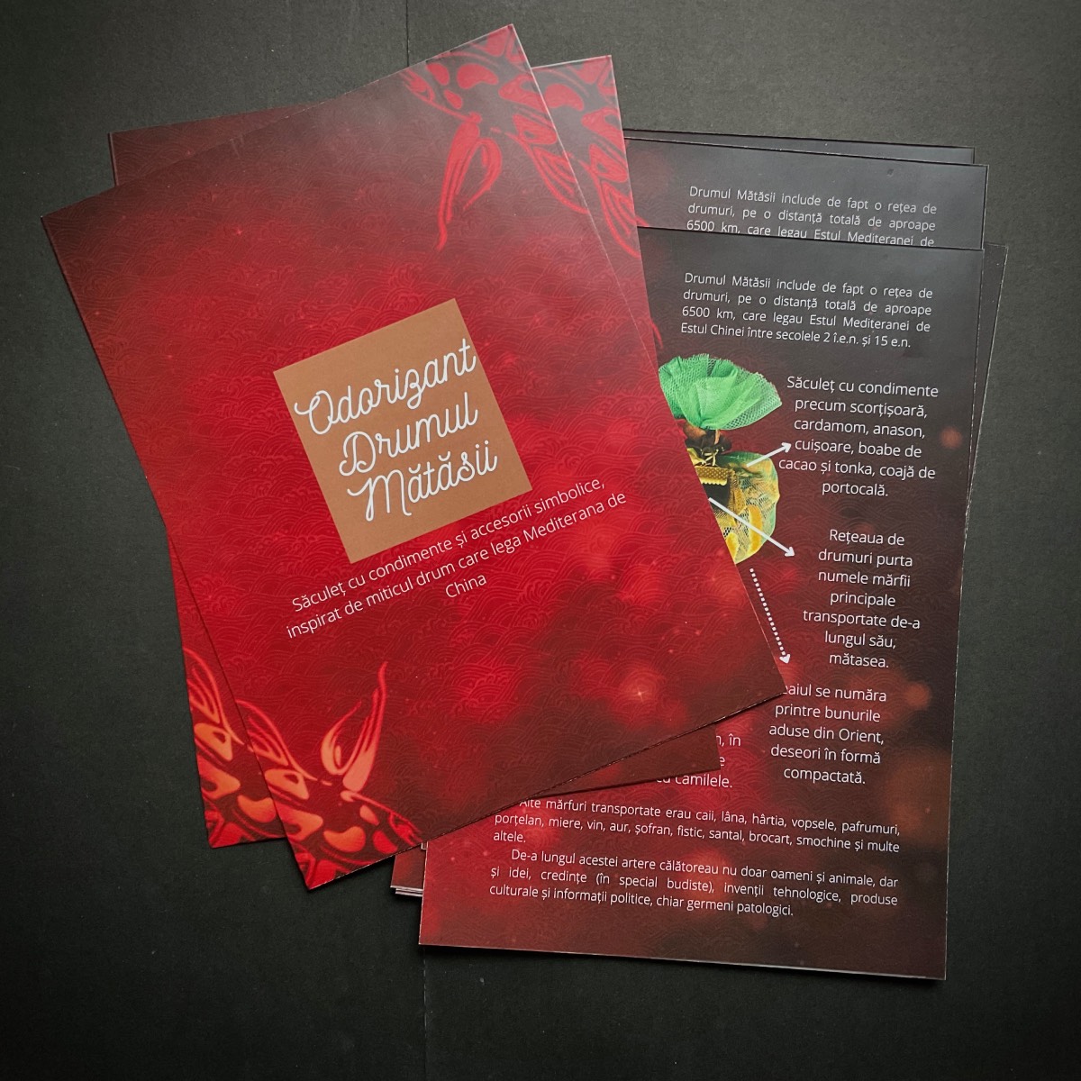 Flyer drumul mătăsii