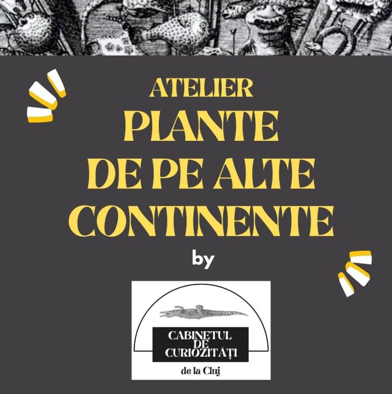 Read more about the article Plante de pe alte continente – atelier interactiv