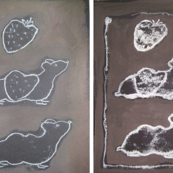 Micul Prinț și hamsterul